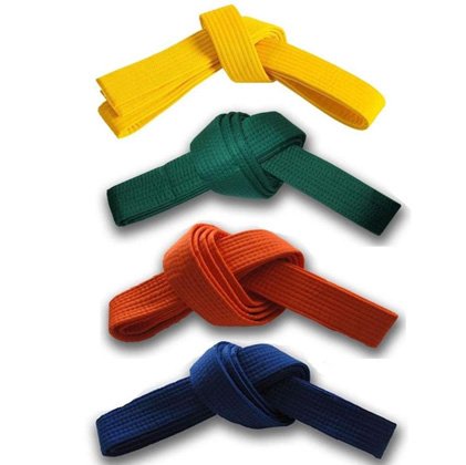 Karate Belt